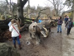 12 Zoo Praha, prosinec 2015.jpg