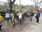 14 Zoo Praha, prosinec 2015.jpg